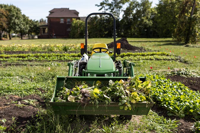 Planting the Seeds of Investment